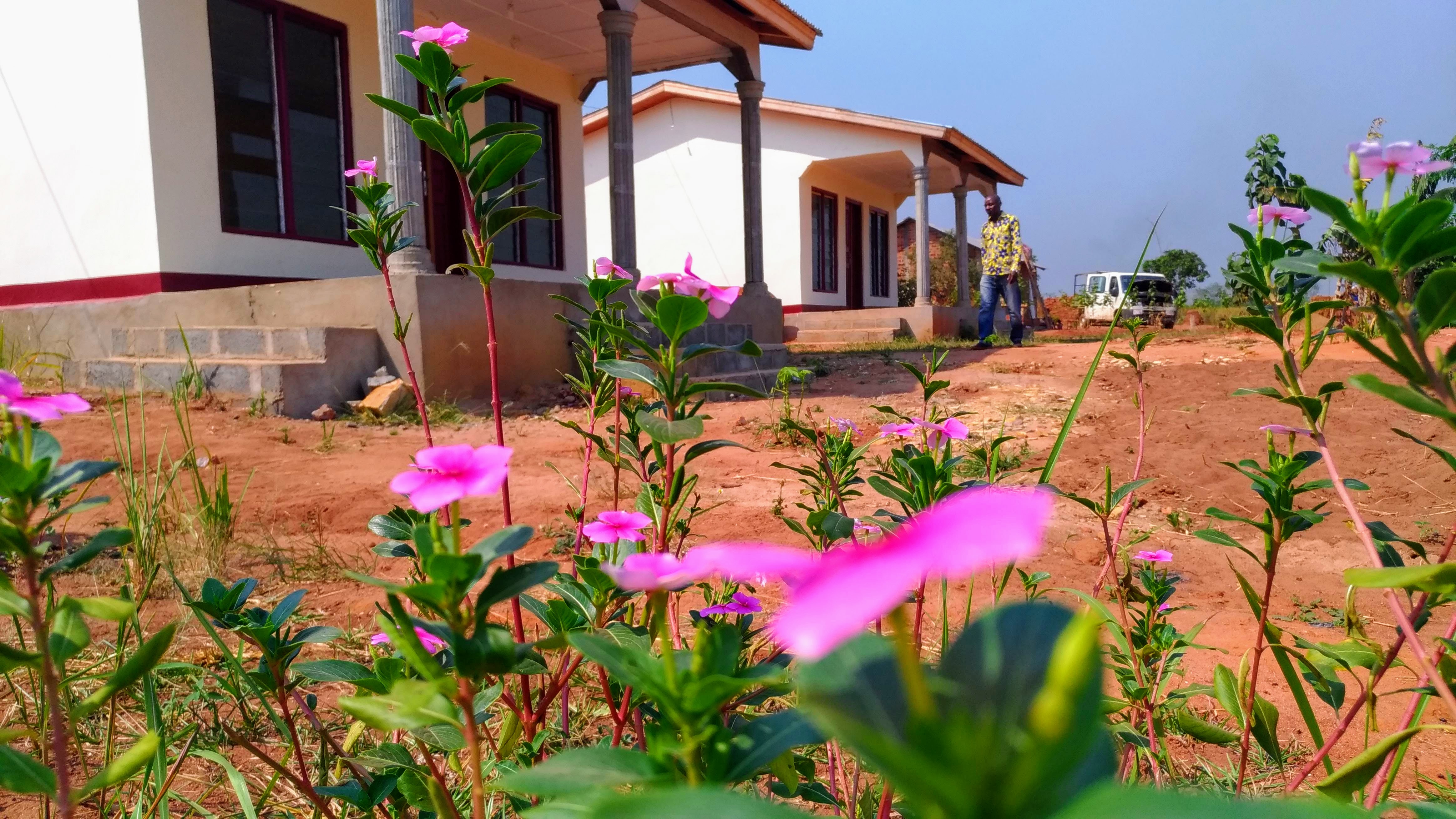 Nos cottages
